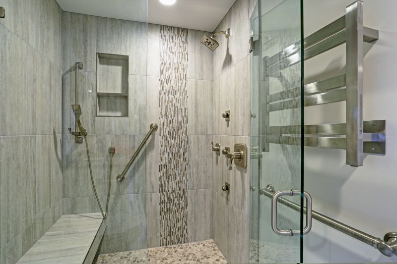 Modern Walk-in Shower Design Ideas Image 8
